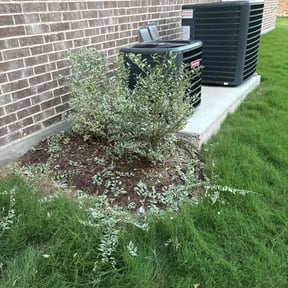 Bush Trimming by Copperhead Property Services reviewed on September 21, 2020