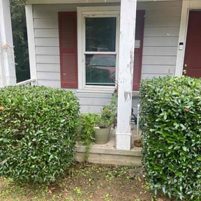 Bush Trimming by Conner Meadows reviewed on November 25, 2024