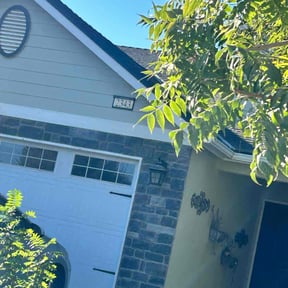 Leaf Removal by Pro grow landscapeing reviewed on June 29, 2022