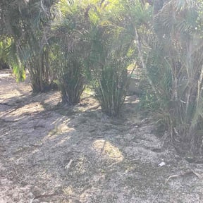 Weeding by J&S home services reviewed on July 7, 2025