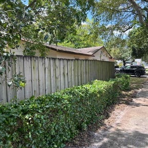 Bush Trimming by MarroquÃn Landscaping LLC reviewed on July 9, 2025