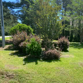 Flower Bed Weeding by GZAG reviewed on May 20, 2022