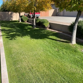 Cleanups by Dream Lawns reviewed on June 18, 2025