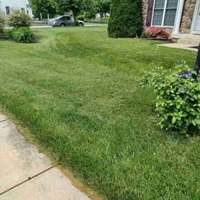 Bush Trimming by Slick Lawns reviewed on August 5, 2022