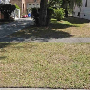 Leaf Removal by Nickel Pickle Landscapes reviewed on July 30, 2025