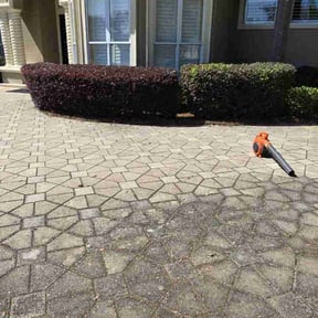 Bush Trimming by Clean Cut Lawn Service reviewed on July 18, 2022