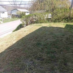 Leaf Removal by G&G Yard Care reviewed on July 25, 2022