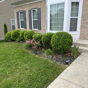 Bush Trimming by Supreme Home Services reviewed on December 13, 2024