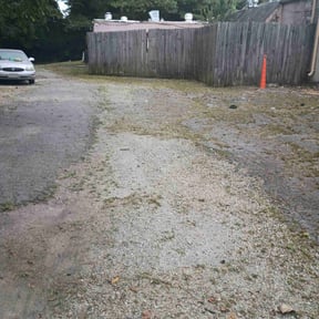 Cleanups by Newgrowth Lawn and Landscape Services reviewed on December 31, 2024