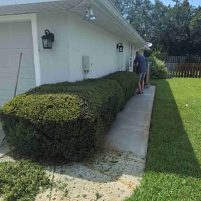 Bush Trimming by Chris Lippens Home Services, LLC reviewed on October 22, 2022