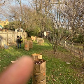 Leaf Removal by Mark Grammer reviewed on May 25, 2022