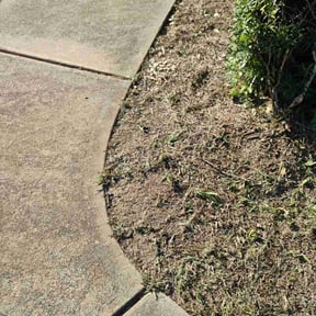 Flower Bed Weeding by Yard Pros Lawn Care, LLC reviewed on July 21, 2022