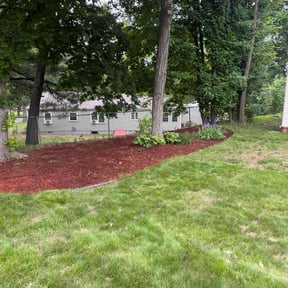 Mulching by Ford year-round Lawn Service reviewed on October 28, 2021
