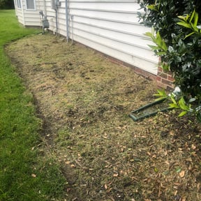 Flower Bed Weeding by C.A.N. Lawn Services LLC reviewed on June 13, 2025