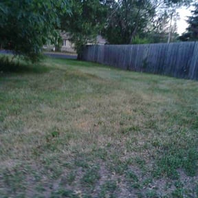 Leaf Removal by Lawncare reviewed on June 30, 2025