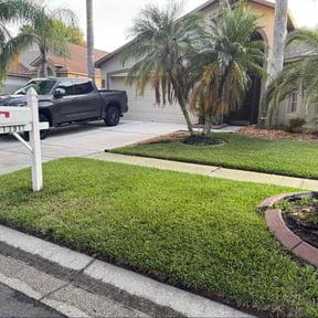Weeding by Momentum Lawn Care & Services reviewed on January 28, 2025