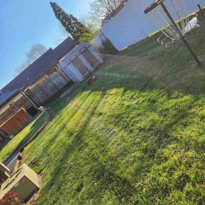 Cleanups by West Michigan landscape and Lawn Management reviewed on June 23, 2022