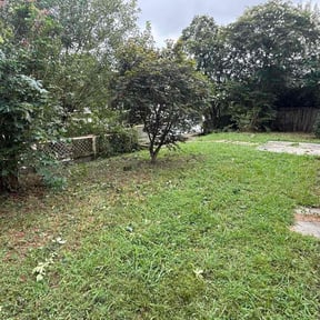 Bush Trimming by Gator Cutz Lawn Care, LLC reviewed on October 18, 2022