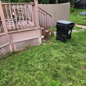 Cleanups by Americo inc reviewed on June 21, 2022