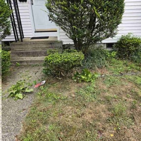 Bush Trimming by J&S Landscaping reviewed on July 28, 2022