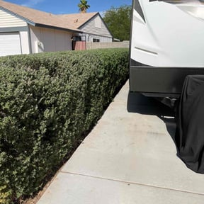 Bush Trimming by E&amp;E Landscape Services reviewed on November 15, 2024