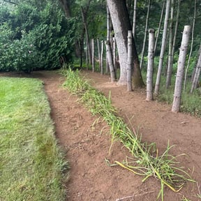 Weeding by RideWitMe LLC reviewed on July 28, 2022