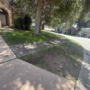 Leaf Removal by Willy Lawn Care, Pressure Washing, & More LLC reviewed on July 21, 2022