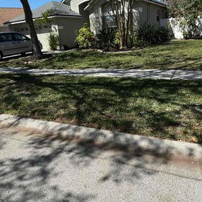 Leaf Removal by A man and his mower reviewed on June 3, 2022