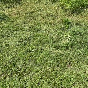 Flower Bed Weeding by Two Grasshoppers lawn care. reviewed on June 9, 2025