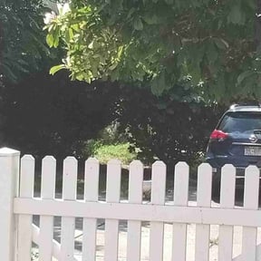 Flower Bed Weeding by MemphisMadeLawnCare reviewed on July 21, 2022