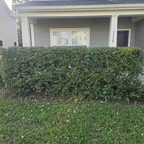 Bush Trimming by Ridgewood Landscape Management llc. reviewed on April 29, 2025