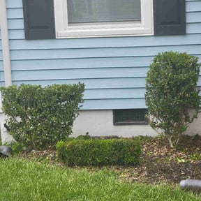 Bush Trimming by Mow-Mentous Lawn Service reviewed on July 9, 2025