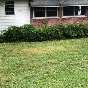 Landscaping by Leon's Lawns & Home Improvements reviewed on July 18, 2025