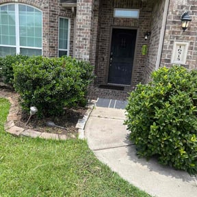 Flower Bed Weeding by Alexis perez reviewed on March 8, 2025