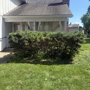 Bush Trimming by Mow Time Lawn Service LLC reviewed on July 5, 2022