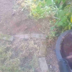 Flower Bed Weeding by Rjm reviewed on August 5, 2022