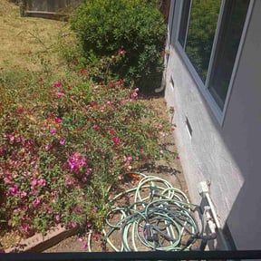 Flower Bed Weeding by Waters Landscaping reviewed on July 14, 2022