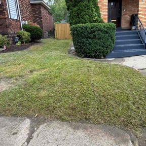 Bush Trimming by DavidH15066 reviewed on May 28, 2025