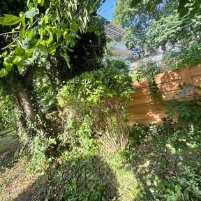 Bush Trimming by Redline Property Maintenance (RPM) reviewed on April 18, 2023