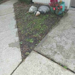 Weeding by w Nunez gardening reviewed on June 2, 2022