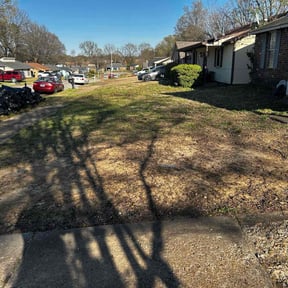 Leaf Removal by Jonny's jack off services reviewed on August 17, 2024