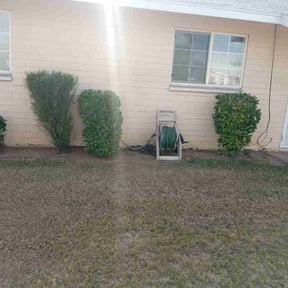 Bush Trimming by maintenance and landscaping reviewed on May 23, 2025