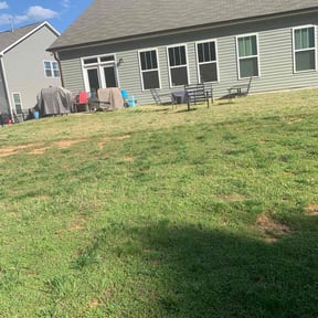 Cleanups by David's Pool &amp; Lawn Service reviewed on August 30, 2024