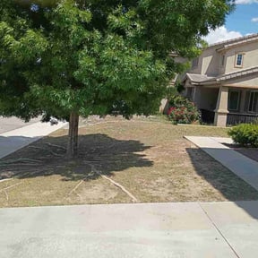 Flower Bed Weeding by Cedarpine greenscapes reviewed on August 7, 2024