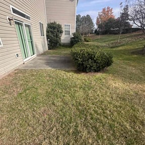 Leaf Removal by Meridian Management Group LLC reviewed on June 4, 2022