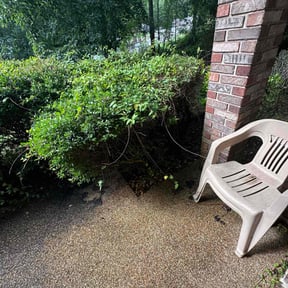 Bush Trimming by Scott Bensing Lawn Care reviewed on June 27, 2022