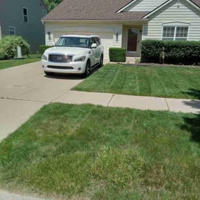 Bush Trimming by Dominguez Landscaping LLC reviewed on May 22, 2022
