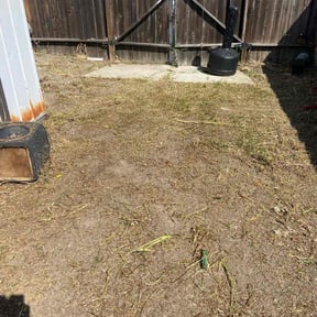 Leaf Removal by Forever Green FG LLC reviewed on September 9, 2024