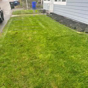 Leaf Removal by Lawncare Legends LLC reviewed on June 6, 2022