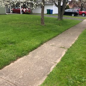 Cleanups by Green Day Lawn Service reviewed on January 13, 2022
